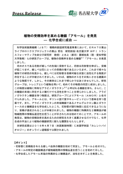 植物の受精効率を高める糖鎖「アモール」を発見 ― 化学