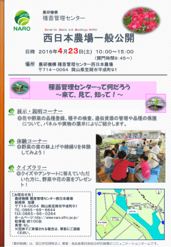 西日本農場一般公開 - 農業・食品産業技術総合研究機構