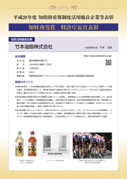 会社概要 受賞のポイント 特許活用優良企業