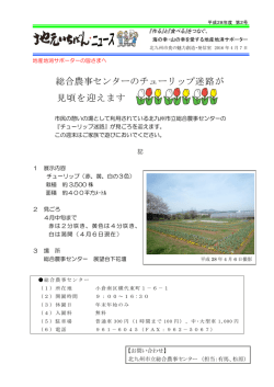 総合農事センターのチューリップ迷路が 見頃を迎えます