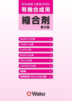 縮合剤パンフレット