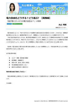 記事全文（PDF） - NPO法人 国際環境経済研究所｜International