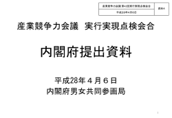 内閣府提出資料