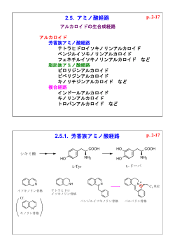 2.5. アミノ酸経路   2.5.1. 芳香族アミノ酸経路