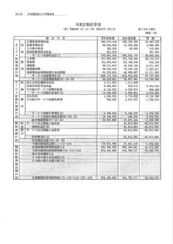 事業活動計算書 (PDF形式 : 428KB)