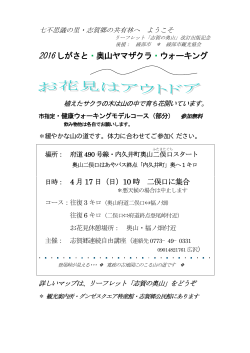 2016 しがさと・奥山ヤマザクラ・ウォーキング