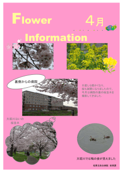 Flower Information