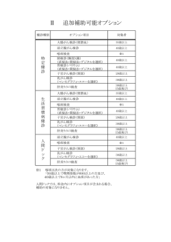 II 追加補助可能オプション
