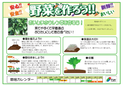 条間15～20   3～4   5～6