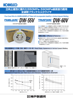DW-55V DW-60V