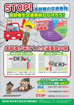 高齢者交通事故防止運動チラシ（PDF：2681KB）