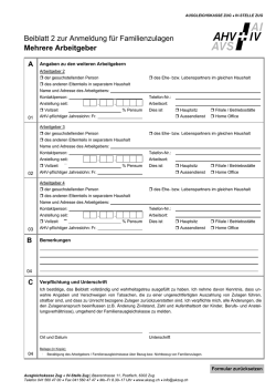 Beiblatt 2 zur Anmeldung f&uuml;r Familienzulagen Mehrere Arbeitgeber