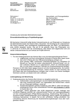 Einverständniserklärung Projektbedingungen