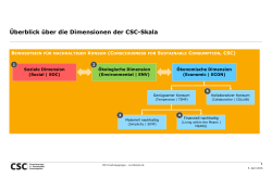 Überblick über die Dimensionen der CSC-Skala - csc