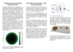 intern beleuchtete Photobioreaktor