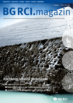 BG RCI Magazin, Ausgabe März/April 2016
