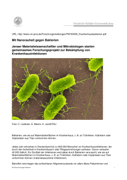 Mit Nanorauheit gegen Bakterien Jenaer Materialwissenschaftler