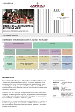 Internationale Kommunikation, Kultur und Medien