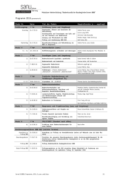 Programm zum