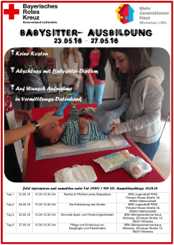Programm Babysitter-Kurs