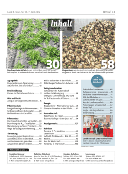 im PDF Format herunterladen