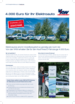 4.000 Euro für Ihr Elektroauto
