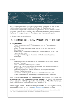 Projektmanager/in EU-Projekt im IT-Cluster