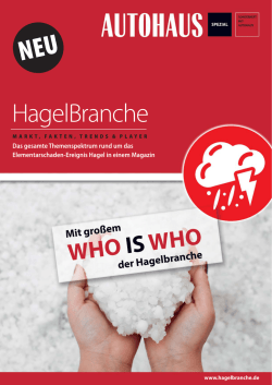HagelBranche - zoom