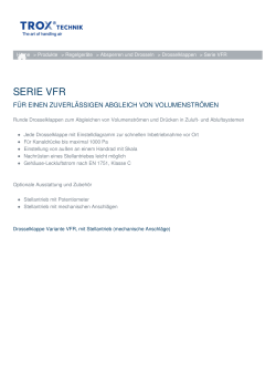 Webseitenausdruck Serie VFR