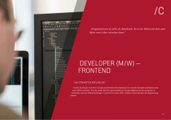 developer (m/w) – frontend