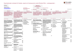 Organisationsplan des Landesjugendamtes