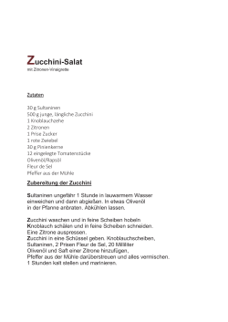 ZucchiniSalat|PDF
