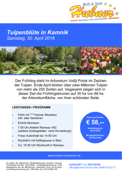 Infoblatt Tulpenbl&uuml;te