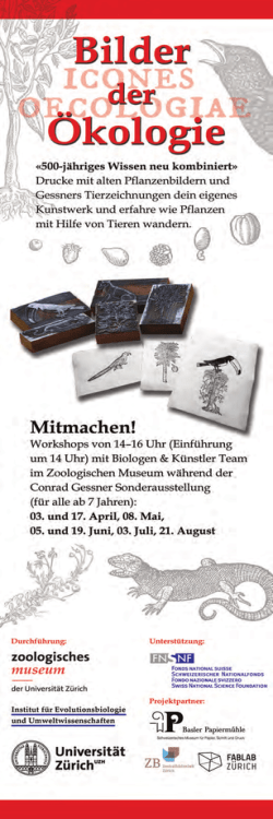 Flyer Familienworkshops