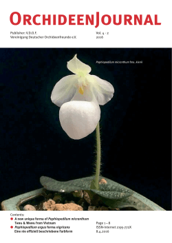 A new unique forma of Paphiopedilum micranthum Tang
