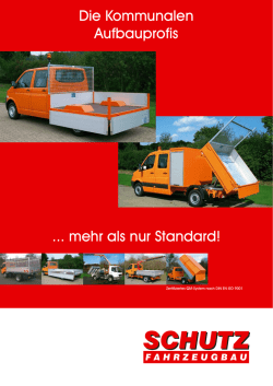 Leichte Nutzfahrzeuge - Transporter
