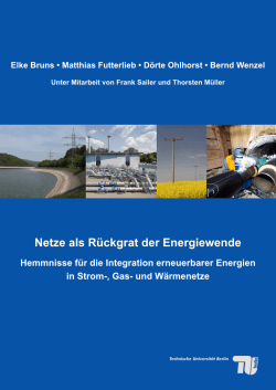 5 Rahmenbedingungen und Hemmnisse der Integration hoher EE