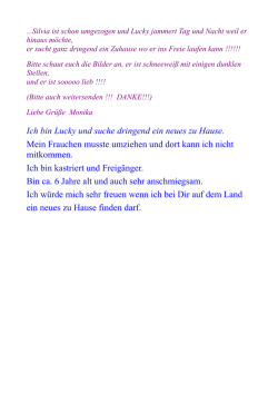 Ich bin Lucky und suche dringend ein neues zu Hause. Mein