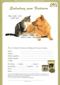 Festessen Formular - Connys Schmatztruhe