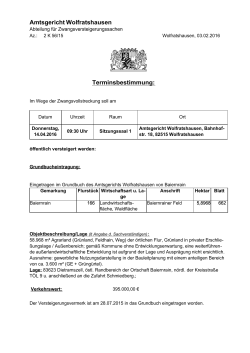 Amtliche Bekanntmachung-001