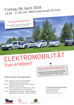 Elektromobilität_Infoblatt.