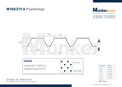 M 100/275 Zeichnung Akustik positiv