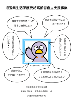 利用者向けパンフレット（PDF：284KB）