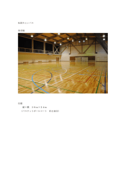 松岡キャンパス 体育館 仕様 縦&times;横 36m&times;24m （バスケットボールコート