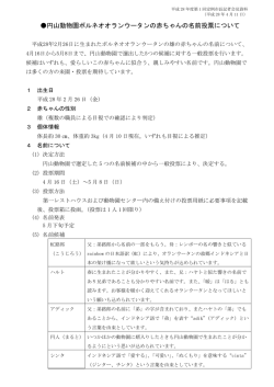 円山動物園ボルネオオランウータンの赤ちゃんの名前投票について（PDF