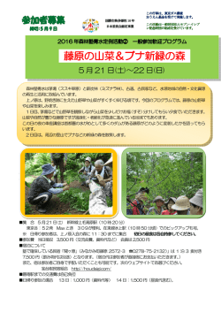 藤原の山菜＆ブナ新緑の森