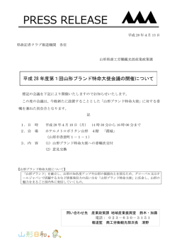 プレスリリース (PDF documentファイル サイズ
