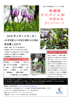 春爛漫 かたかごと桜 - 町田市観光コンベンション協会