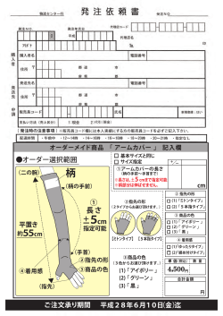 約55cm