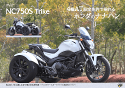 NC750S Trike - スリーホイール JAPAN